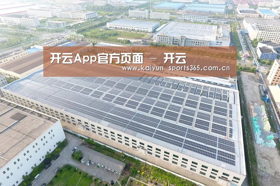 案例展示一