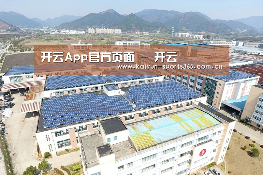 案例展示四