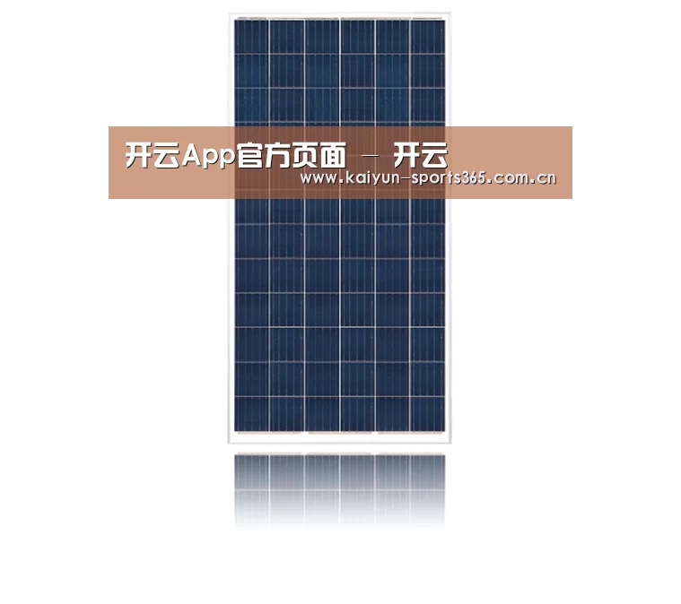产品名称一
