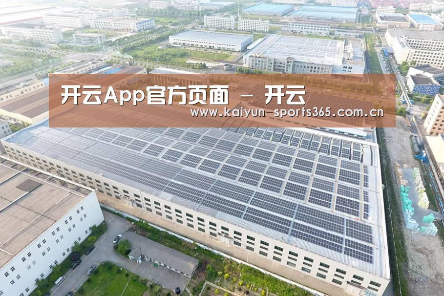 案例展示二