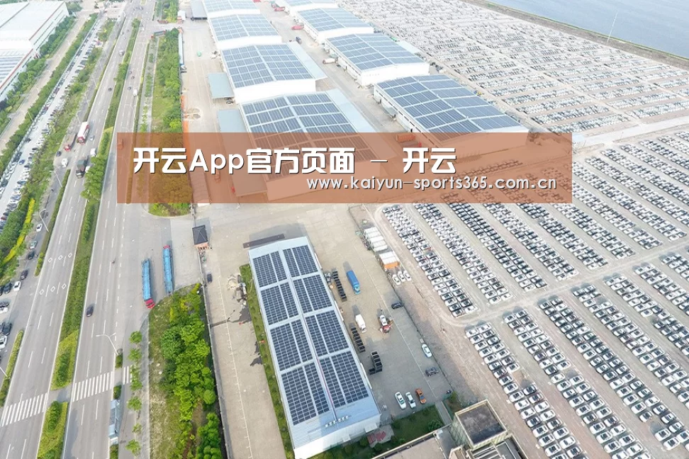 案例展示二