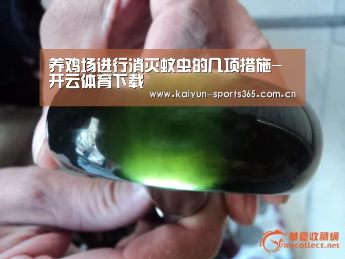 开云App下载