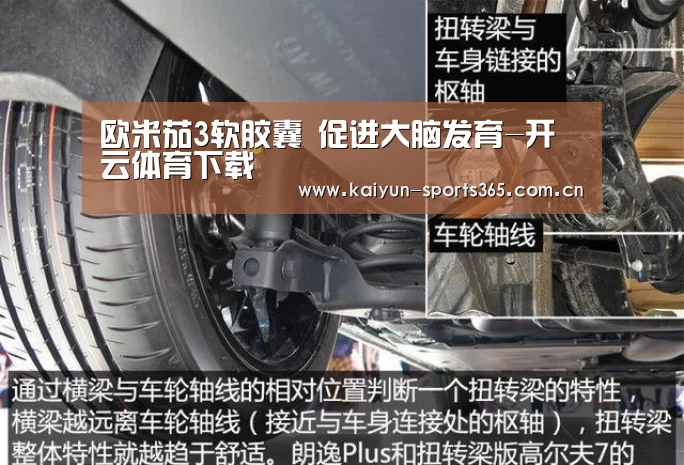 欧米茄3软胶囊 促进大脑发育-开云体育下载(图3) 开云App下载